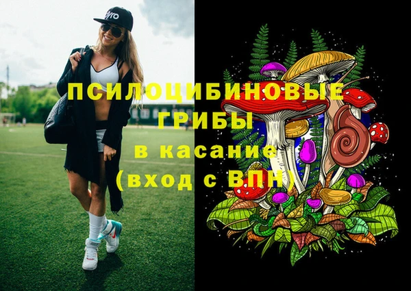 скорость Богданович